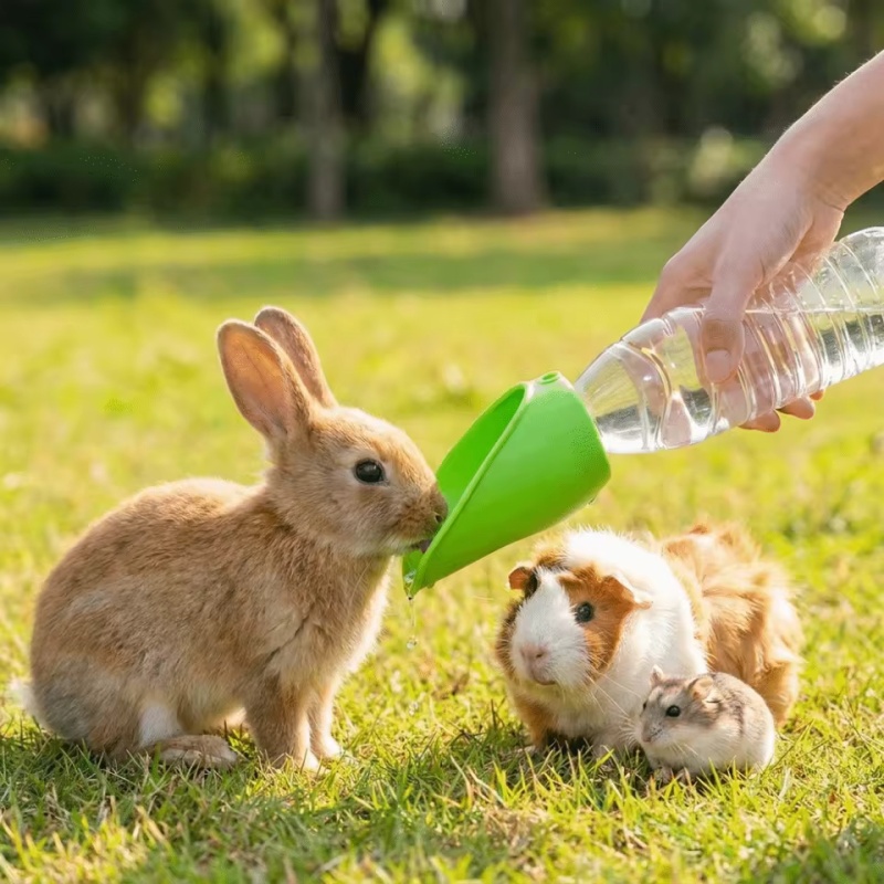 ขวดน้ำพกพาสำหรับสัตว์เลี้ยง รู - Water Bottle Collapsible บทวิจารณ์และราคา